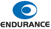 Endurance logo
